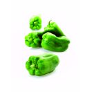 Imagem do produto Pimento Verde (1 un = 345 g aprox)