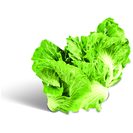 Imagem do produto Couve Portuguesa (1 un = 1100 g aprox)