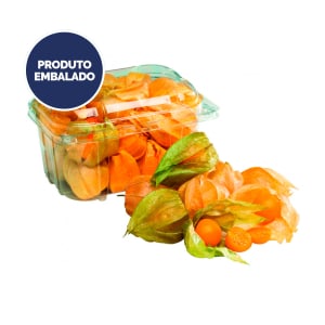 Imagem do produto Fisális - Embalagem 0.1 Kg