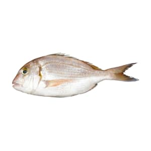 Imagem do produto Pargo 200/600 - Unidade 0.5